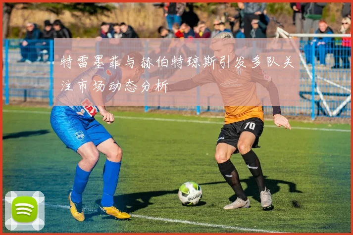 特雷墨菲与赫伯特琼斯引发多队关注市场动态分析