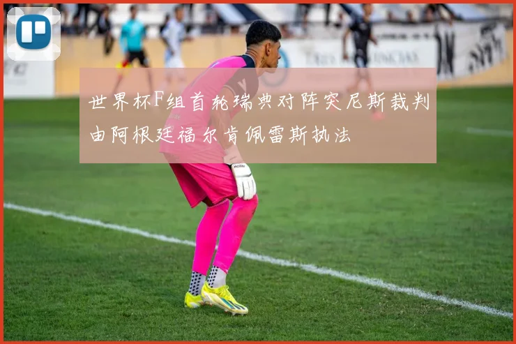 世界杯F组首轮瑞典对阵突尼斯裁判由阿根廷福尔肯佩雷斯执法